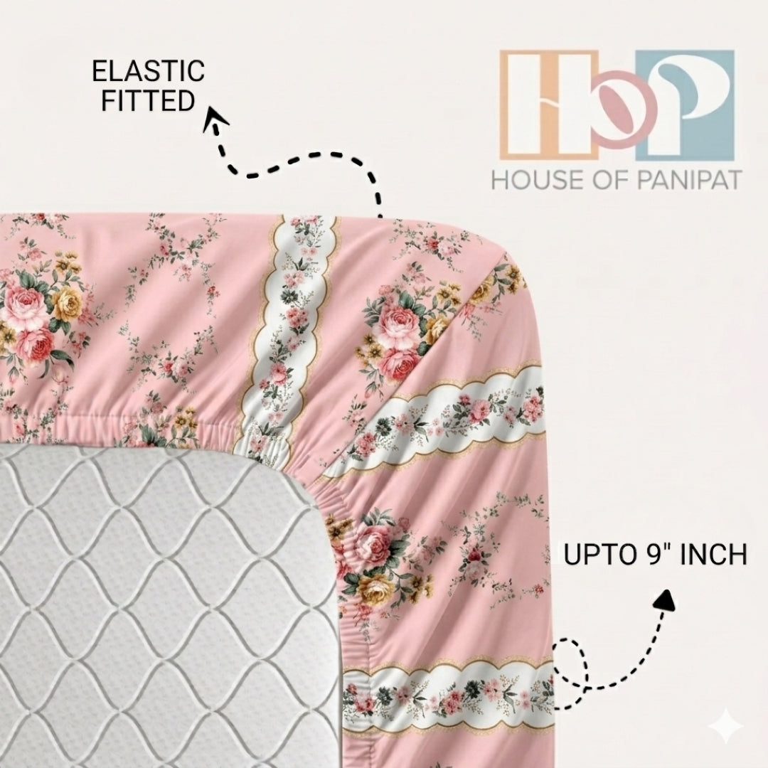 Hush Fitted  Pink Line